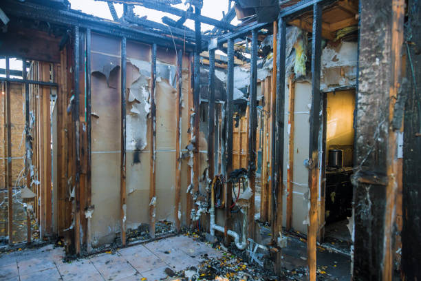 Professional Fire Damage Removal technician working in Princeton, FL